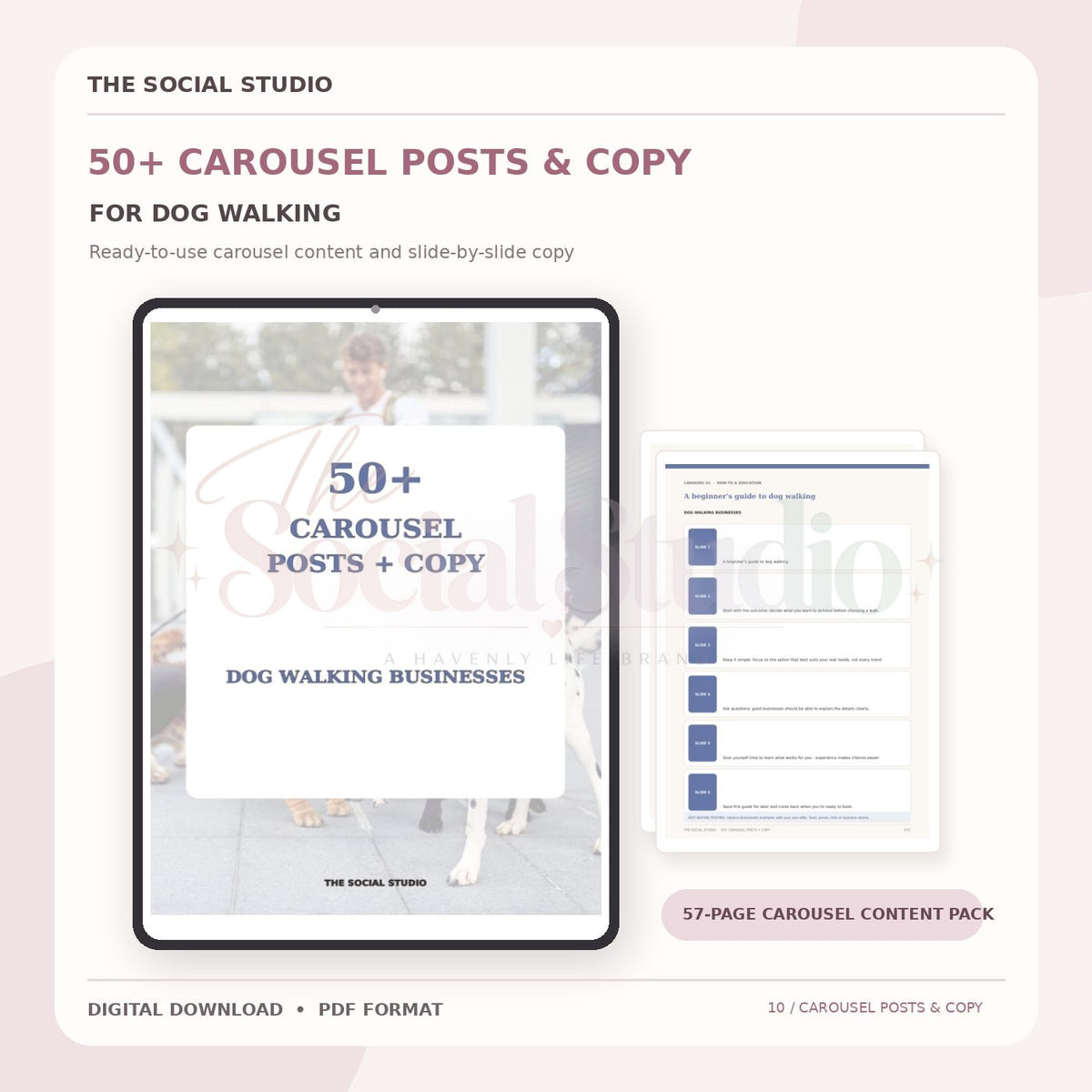 Dog Walker – Carousel Ideas & Copy Pack | The Social Studio