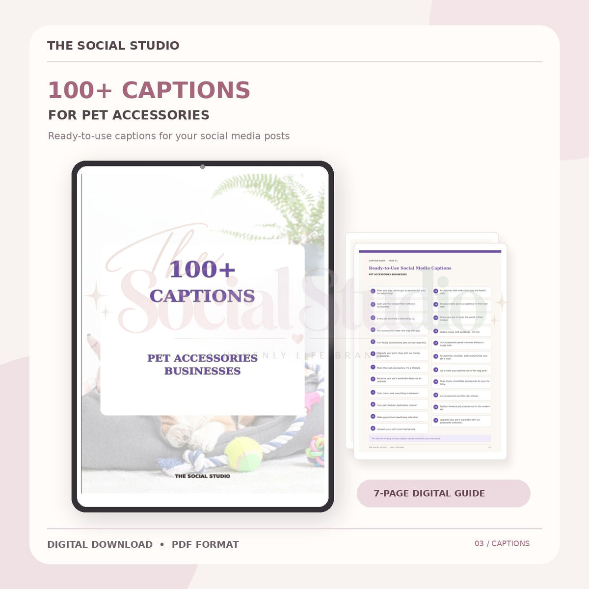 Pet Accessories – Caption Pack | The Social Studio